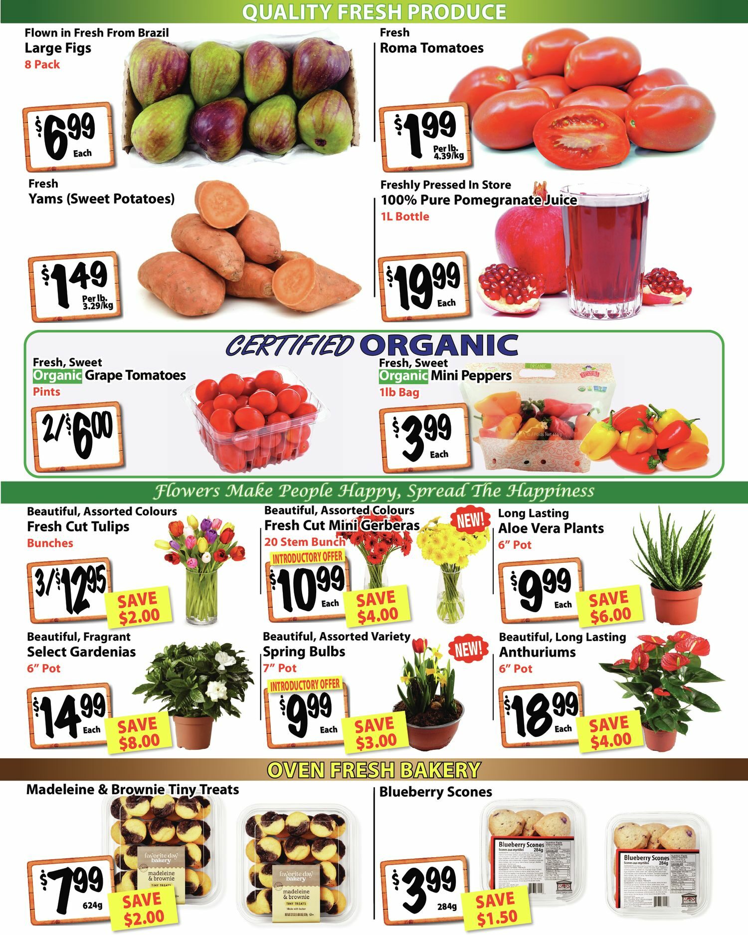 The Garden Basket - Weekly Specials - Page 2