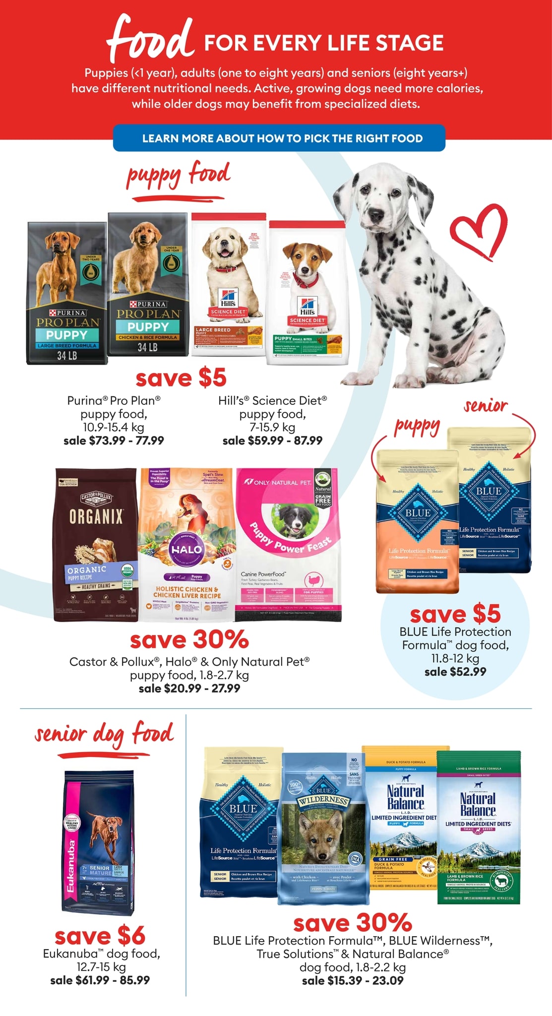 PetSmart - Anything for Dogs - Page 3