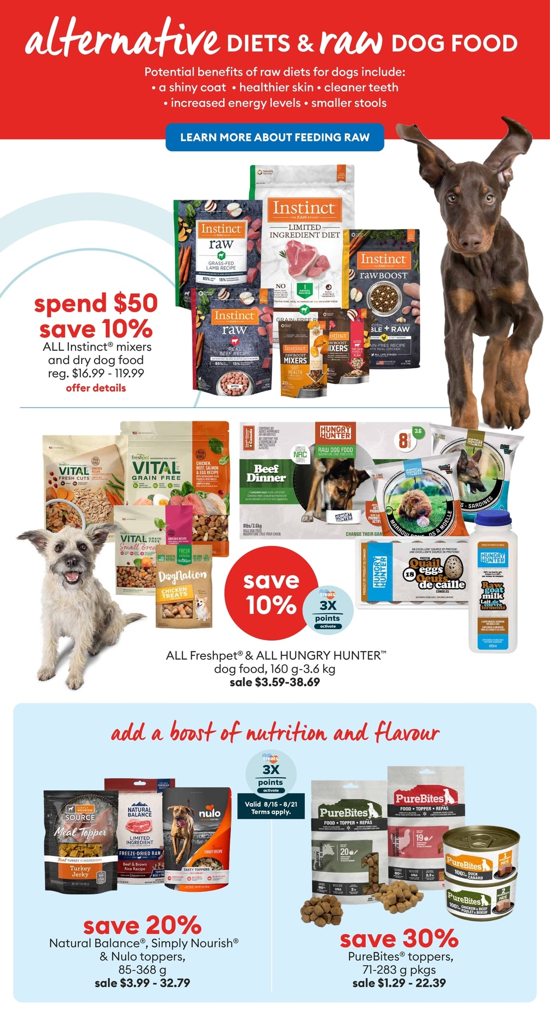 PetSmart - Anything for Dogs - Page 5