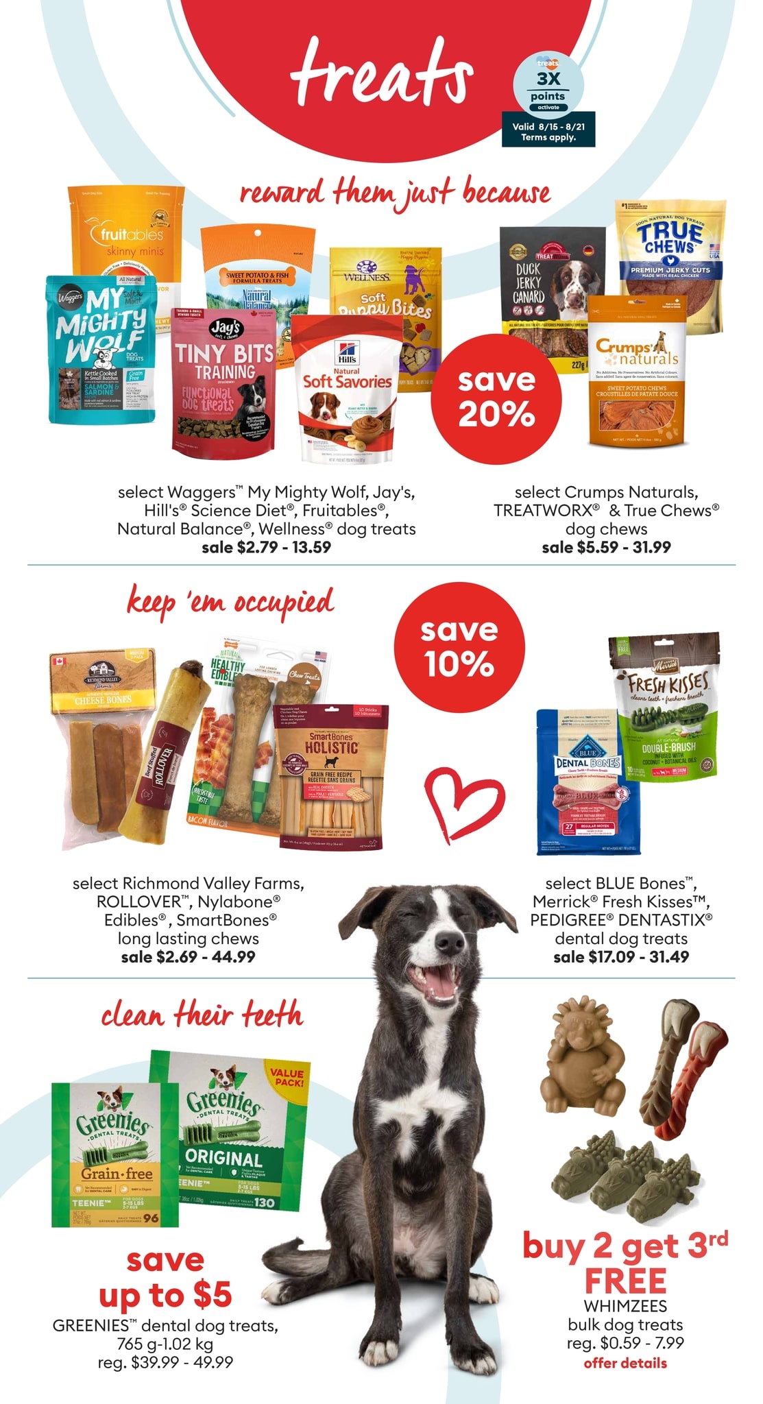 PetSmart - Anything for Dogs - Page 6