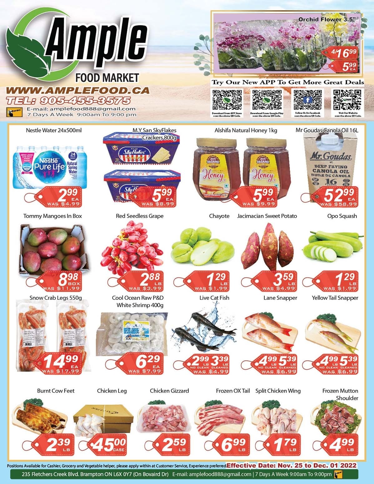 Image de la Promotion Ample Food Market - Brampton Store - Weekly Flyer Specials