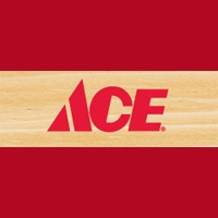 View Ace Canada Flyer online
